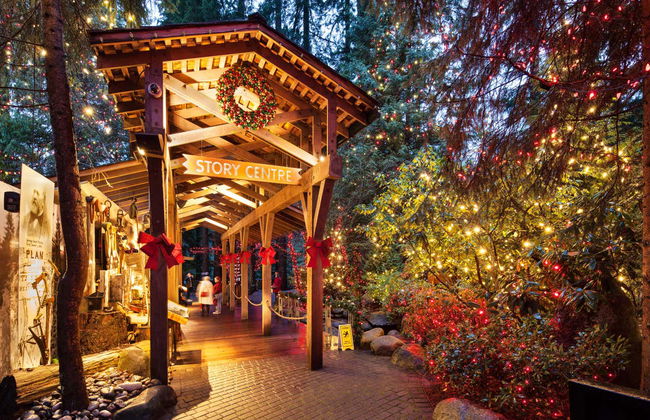 Grouse Mountain Day Trip - Foto 3