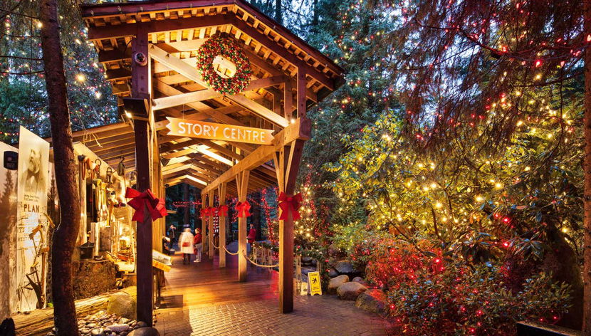 Grouse Mountain Day Trip - Photo 3