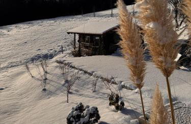 Haus Vogl Anger - Ferienwohnungen mit privater Sauna und beheizten Salzwasser Pool in Panoramalage und Nähe zu Salzburg und Berchtesgaden - Foto 49
