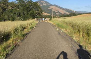 Historic Van Keppel Ranch - Foto 55