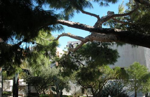 Villa Kalliopi - Foto 64