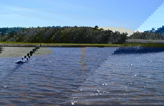 Vaalimaa Camping - On the beach - Foto 15