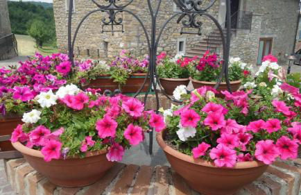 Agriturismo Prato degli Angeli - Foto 7