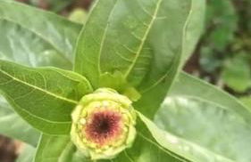 Finca Marina Turismo Rural - Foto 25