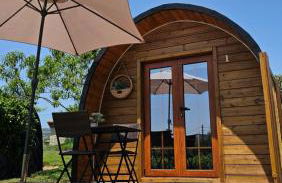 Quinta Lama de Cima - Foto 32