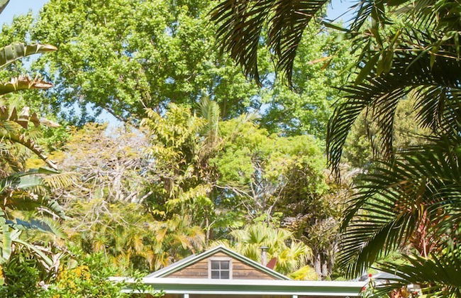 Sanctuary in The Pocket - Photo 22