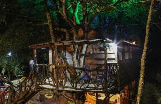 Casa da Árvore - Foto 33