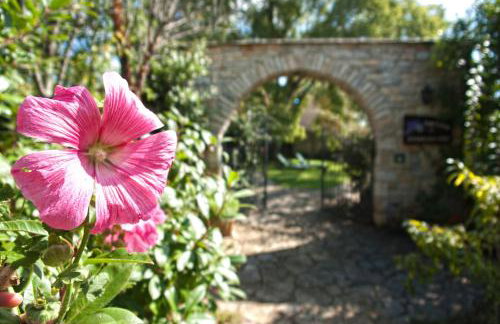 Boutique B&B Stancija 1904 Adults only - Foto 29