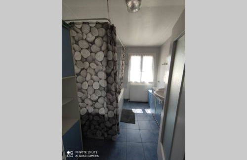 MER 12 à 14 pers L'Aiguillon sur mer - Foto 34