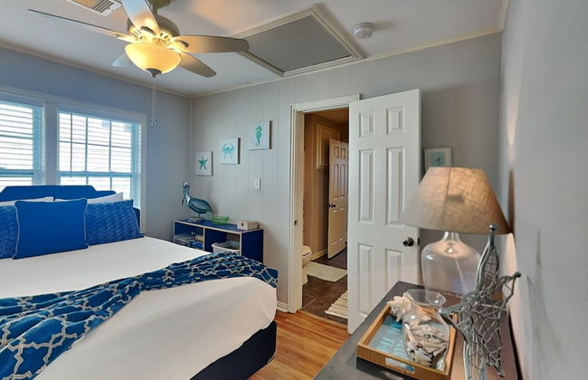 Blue Curlew - Photo 8