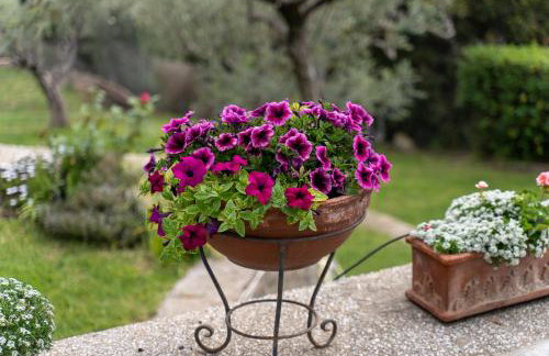 Villa Elia Kavala - Mediterranean Holiday Villa - Foto 30