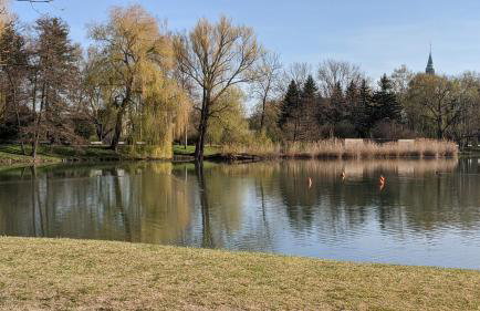 Gäste- und Ferienwohnung Gläser Zwickau - Foto 53