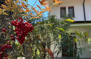 Villa Riviera by the Sea - Foto 33