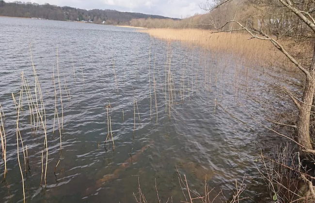 Tranquil Lakeside Retreat in Ry-by Traum - Foto 30