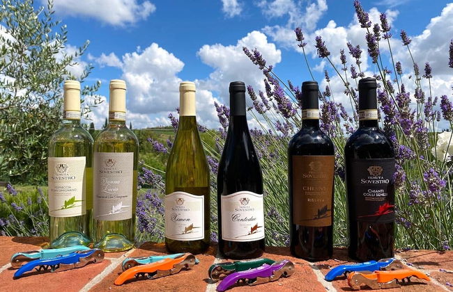 Tenuta Sovestro - Agriturismo e Winery - Foto 41