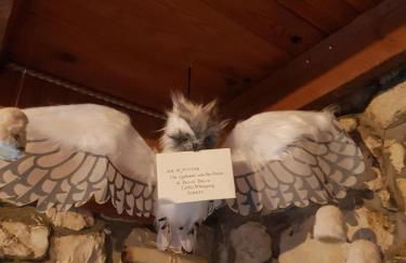 La Pensine du célèbre sorcier - Foto 30