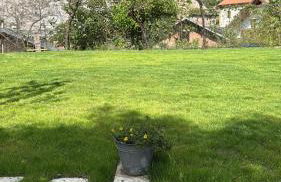 Bella di Bosco - Ai Meli - Dolomites - Photo 70