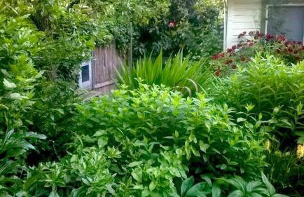 Charming Garden Cottage - Photo 22