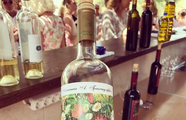 Vallée des papillons et vin, huile d'olive, visite de dégustation de miel (petit groupe) - Photo 15