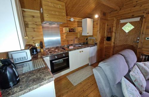 Polgwedhen Lodge - Photo 11