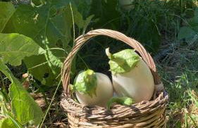 Agriturismo Fiori d'Arancio - Foto 8