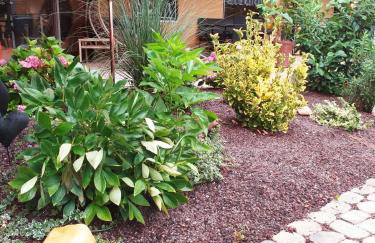 Ferienwohnung im Rottal - Foto 1