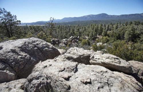 Moon Shadow - Foto 30