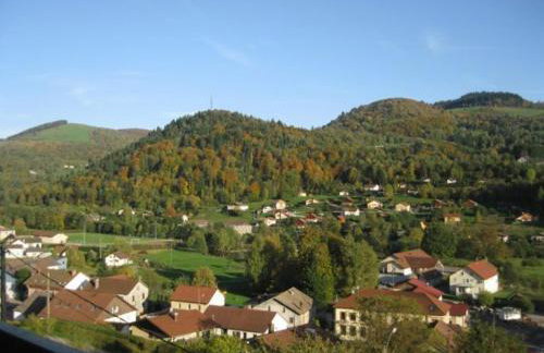 Gîte Confortable au Cœur des Vosges - Animaux Acceptés - FR-1-589-839 - Foto 17