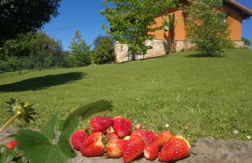 El MIRADOR DE TONO , Casa entera - Foto 7