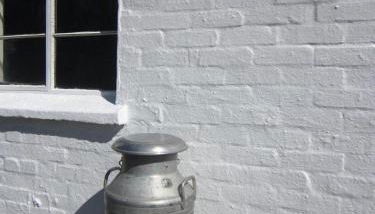 Ffyllon Fawr - Foto 4