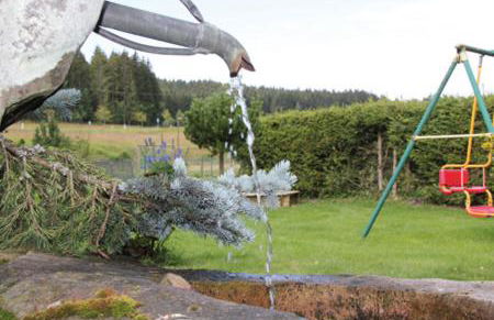 Schönes Doppelzimmer mit separater Wohn-Küche im nördlichen Nationalpark Schwarzwald - Foto 9