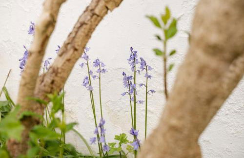 Well decorated & traditional cottage on Wales England border - sleeps 7 - Foto 22