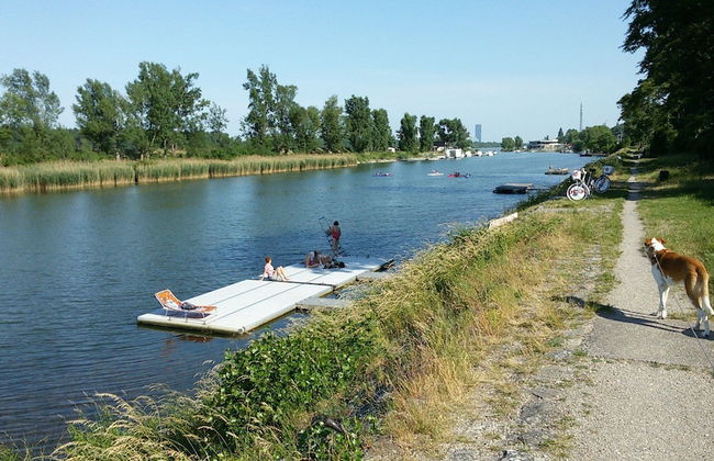 Sobieski Apartments Vienna - Foto 46