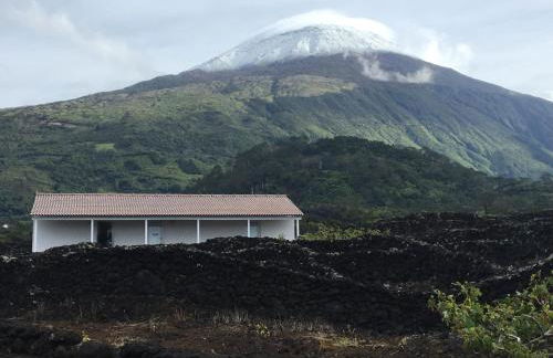 Insula Vinus Apartments - Photo 1