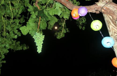 La Caseta de Mollet - Photo 19