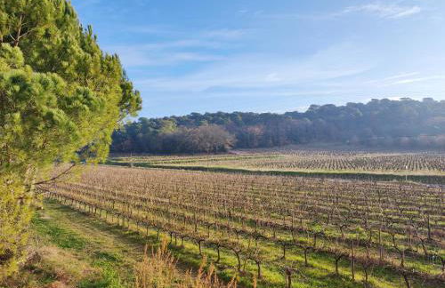 Mas avec piscine à 20 minutes du Pont du Gard - Foto 24