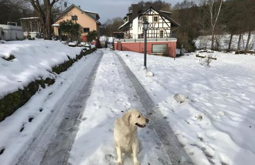 Grundmühle Rhön - Foto 26