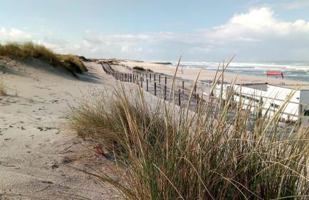 Wherry Green Guest House (PRAIA DA BARRA)❤️ - Foto 21