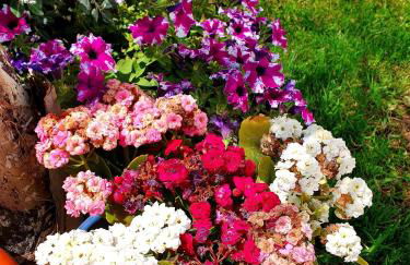 La Perla di Marzamemi - Foto 37