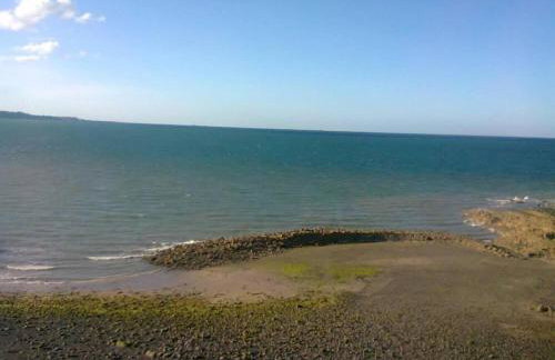 Ville Daniel - Photo 24