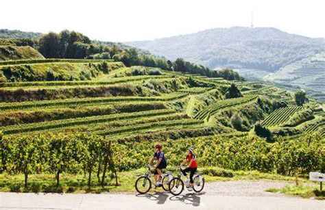 Apartment Frank - bis zu 3 Schlafzimmer - Photo 27