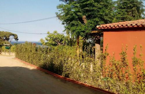 Calma i descans a Begur - Foto 20