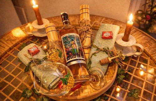 Jungle Spa - Cocon tropical et dépaysant avec balnéo en plein coeur de Pézenas ! - Foto 24