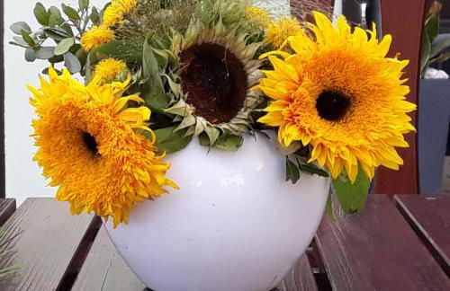 Apartments - Lehmanns Ferienwohnungen - Foto 53