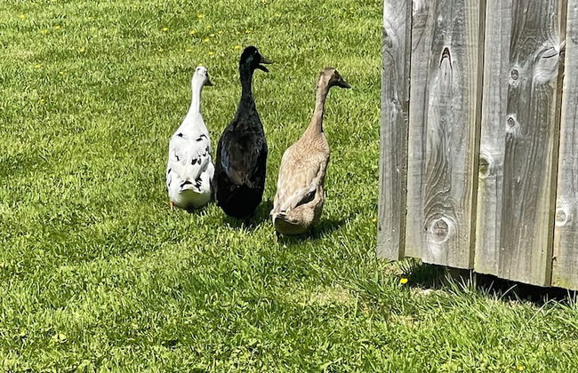 Nest and Nurture - Photo 51