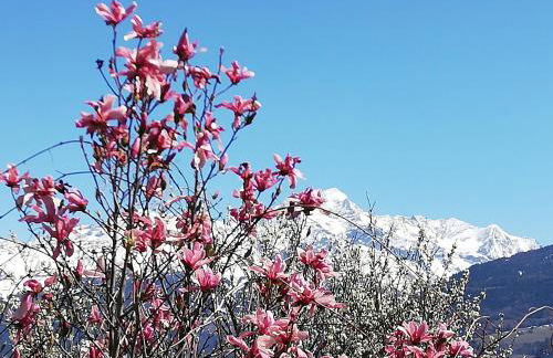 Maison de l'Epine -spa- Versant du soleil - Foto 46