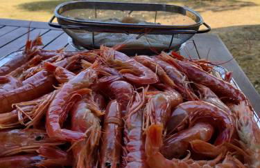 Country House Pacifici, Villa con piscina privata - Foto 69