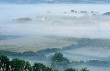 Spaniel Cottage with views of Ham hill, Stoke sub Hamdon - Photo 30