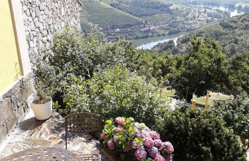 Quinta do Pombal Douro - Foto 35