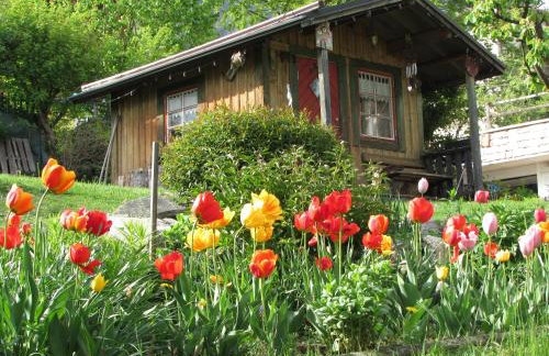 Cortalta Mountain Lodge - Appartamenti con giardino - Foto 37
